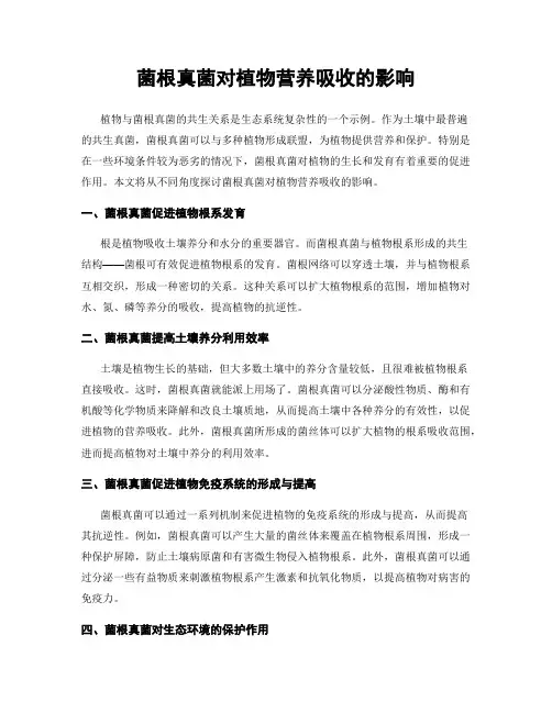 菌根真菌对植物营养吸收的影响