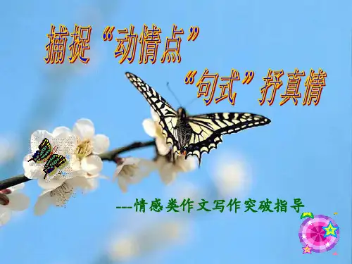 捕捉动情点句式抒真情--情感类作文写作突破指导(共24张PPT)