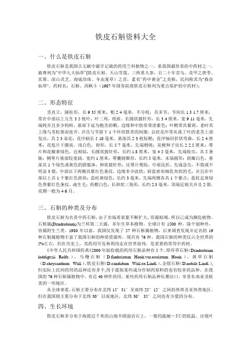 铁皮石斛资料