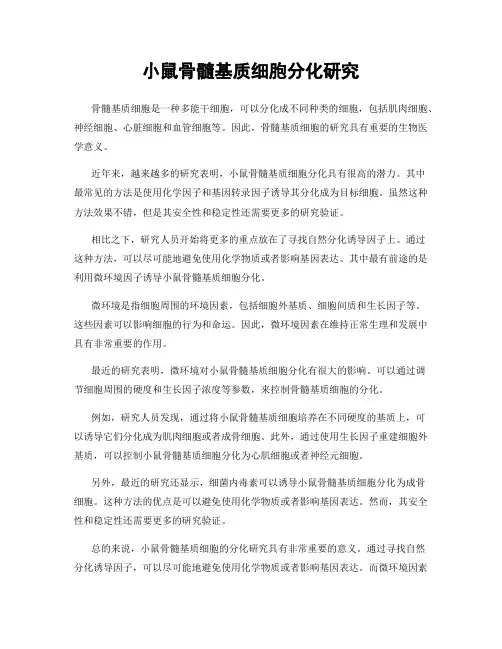 小鼠骨髓基质细胞分化研究