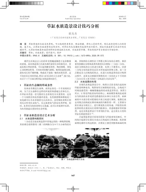 草缸水族造景设计技巧分析