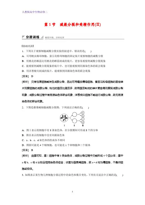 人教版(新教材)高中生物必修2练习4：2 1 减数分裂和受精作用(Ⅲ)课时作业
