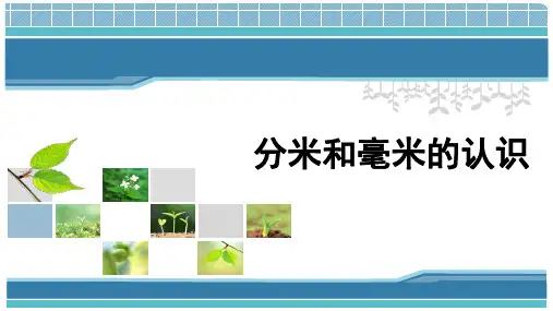 苏教版二年级下册数学5、分米和毫米的认识 课件