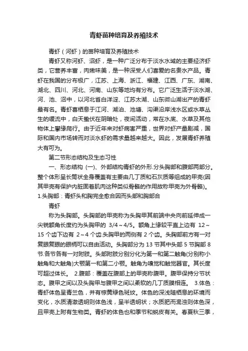 青虾苗种培育及养殖技术