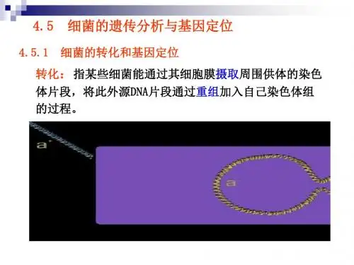 第4章遗传的制作和基因定位下