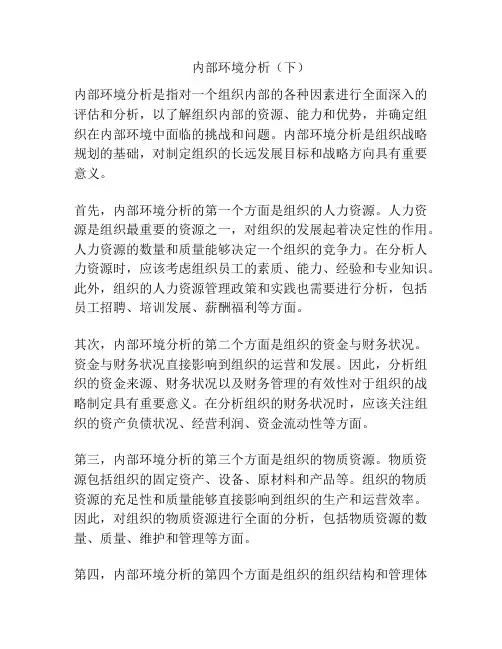 内部环境分析(下)