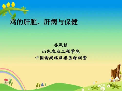 家禽(鸡鸭鹅) 高效高产 养殖精品资料：鸡的肝病与肝脏保健