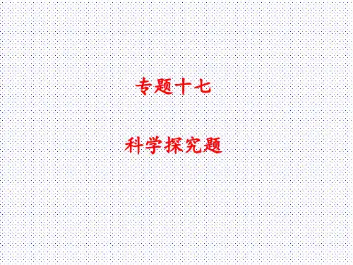 最新人教版九年级化学中考复习专题十七-科学探究题-(共67张PPT)