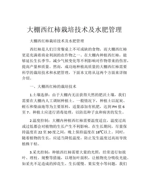 大棚西红柿栽培技术及水肥管理