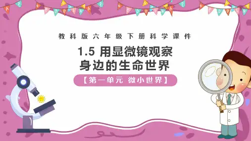 《用显微镜观察身边的生命世界(三)》微小世界PPT