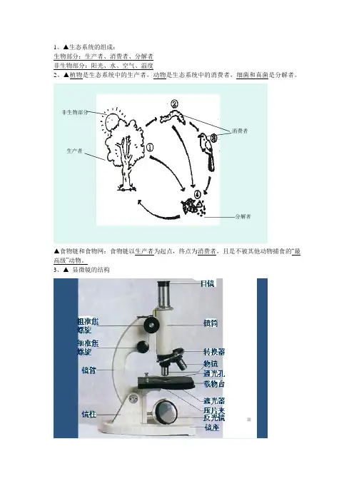 人教版七年级生物上册全册图形