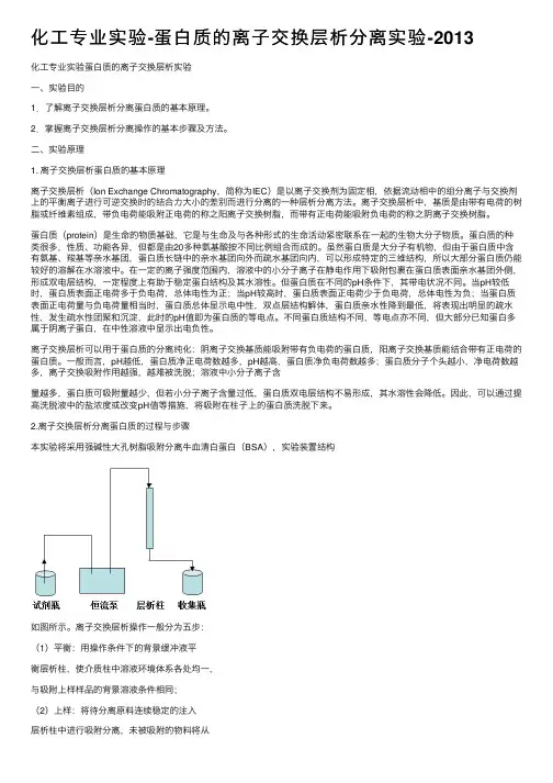 化工专业实验-蛋白质的离子交换层析分离实验-2013