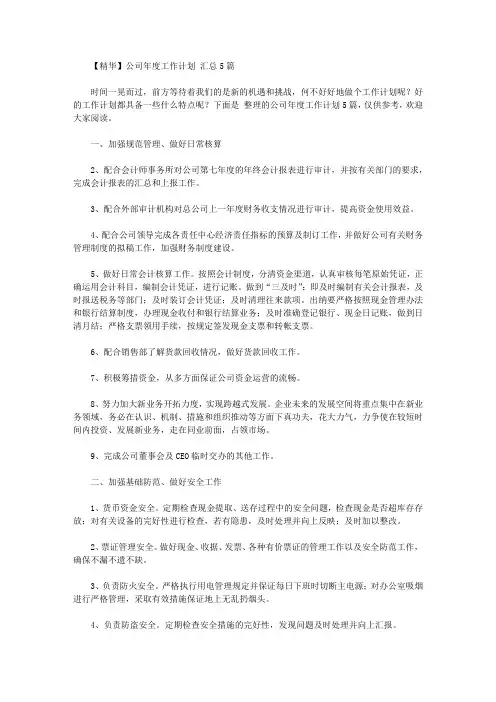 2020年【精华】公司年度工作计划范文汇总5篇