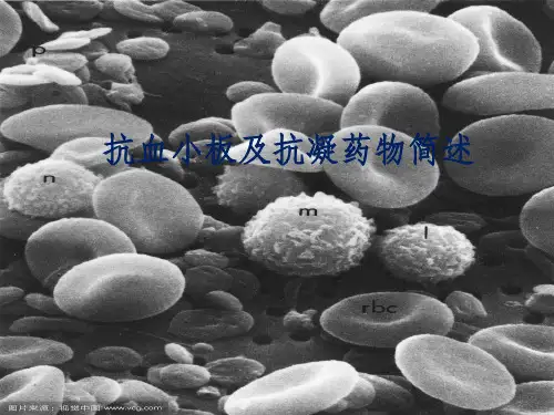 抗血小板聚集及抗凝药物简述