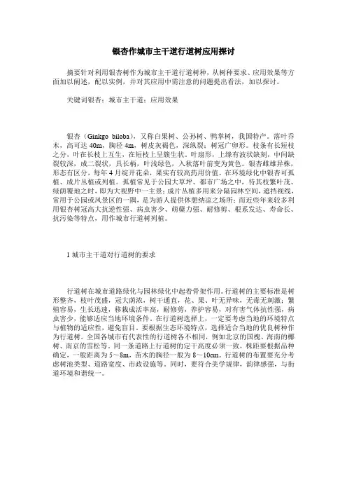 银杏作城市主干道行道树应用探讨