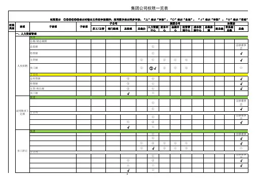 集团公司权限一览表-模版 (1)