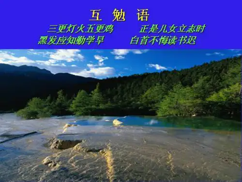 《骨关节发育障碍》PPT课件