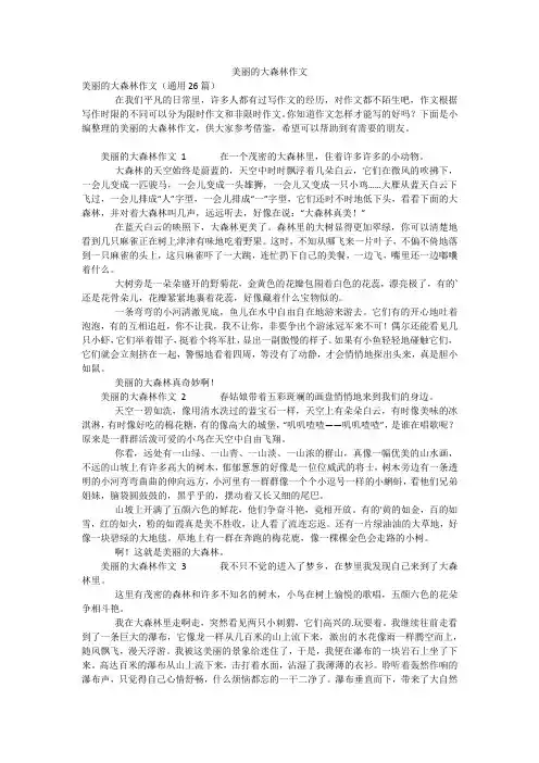 美丽的大森林作文