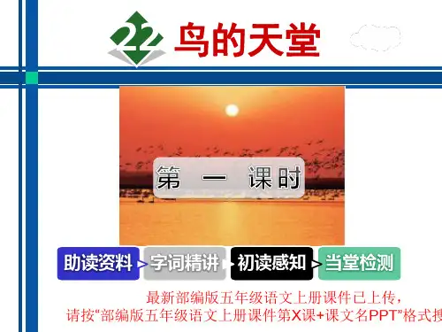 部编版五年级语文上册课件第22课鸟的天堂PPT