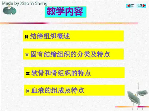 组织与胚胎学结缔组织PPT.