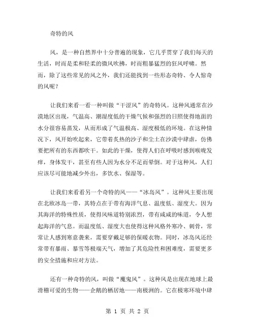 奇特的风作文范文