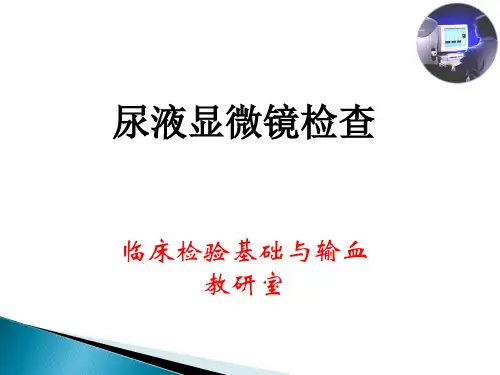 尿液显微镜检验