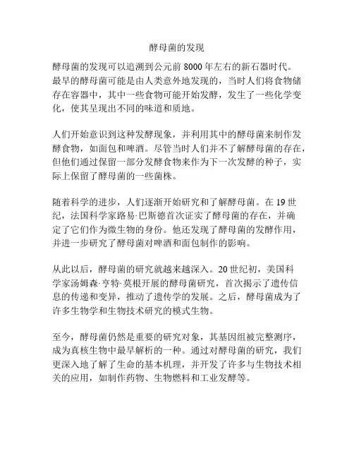 酵母菌的发现