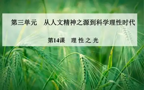 第14课 理性之光配套课件 岳麓版必修3课件