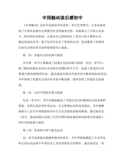 中国触动读后感初中