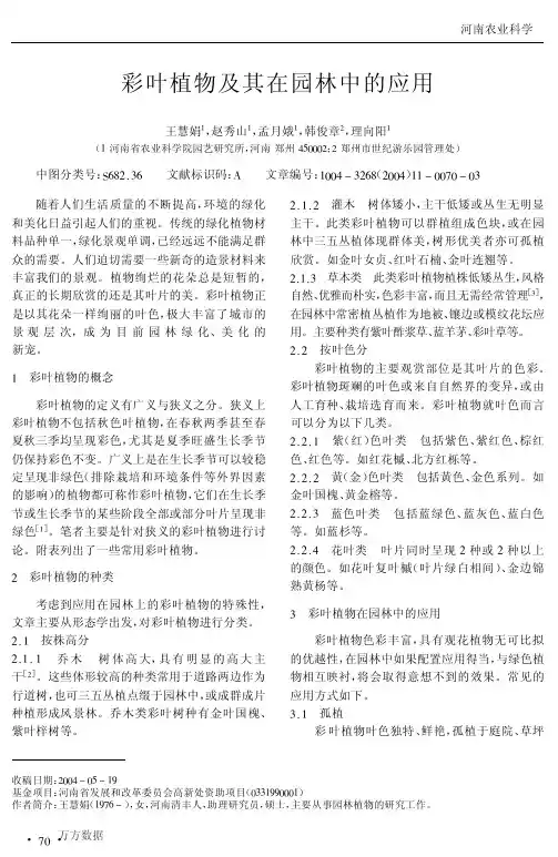 彩叶植物及其在园林中的应用
