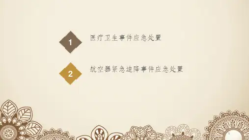 公共航空运输安全管理与应急处置(中)ppt课件