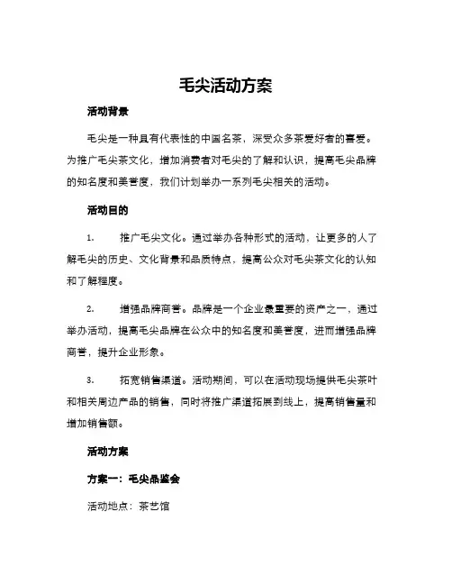 毛尖活动方案