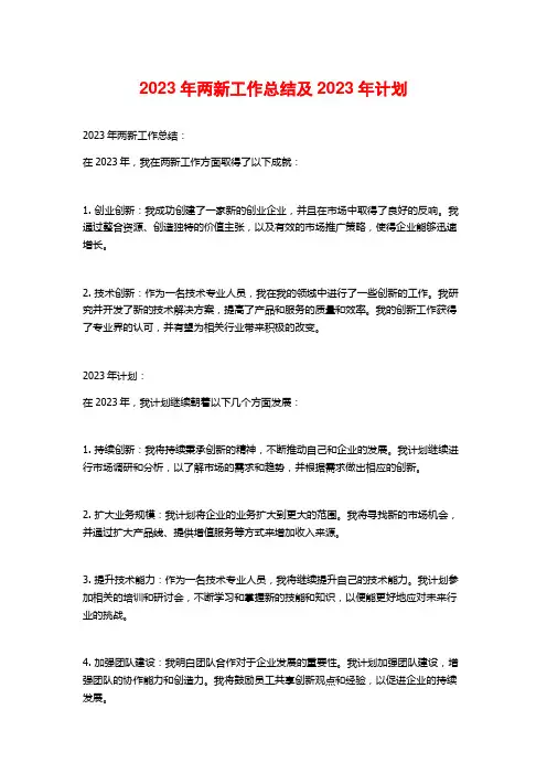 2023年两新工作总结及2023年计划