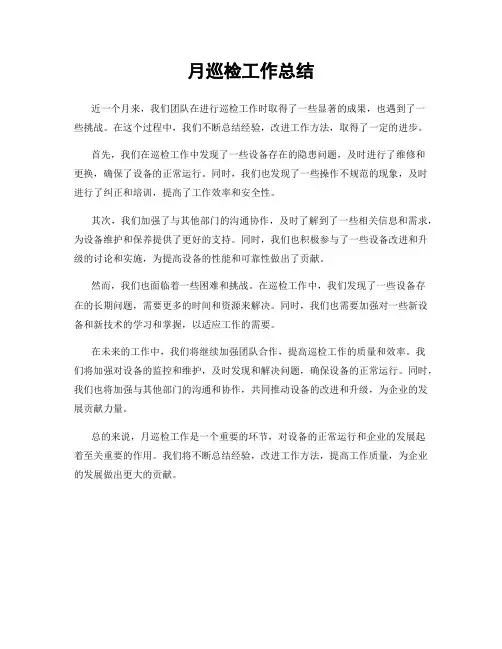 月巡检工作总结