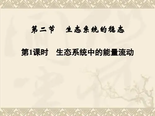高中生物 4-2-1生态系统中的能量流动课件 苏教版必修3