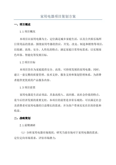 家用电器项目策划方案
