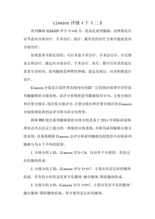 cleason评级4十4二8