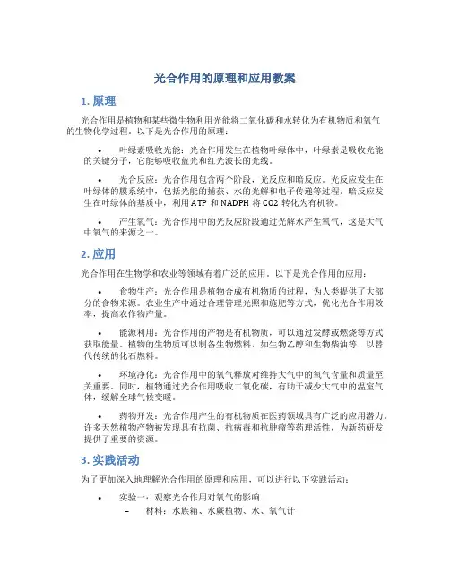 光合作用的原理和应用教案