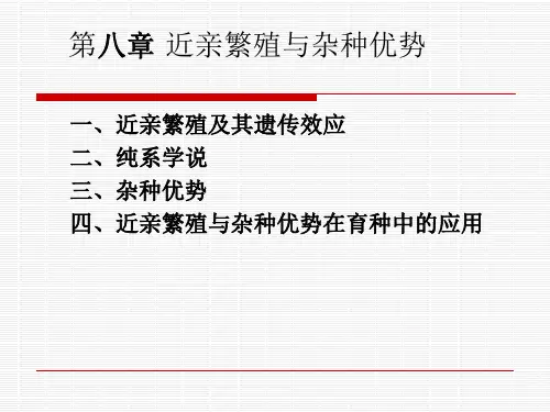 8第八章近亲繁殖与杂种优势0