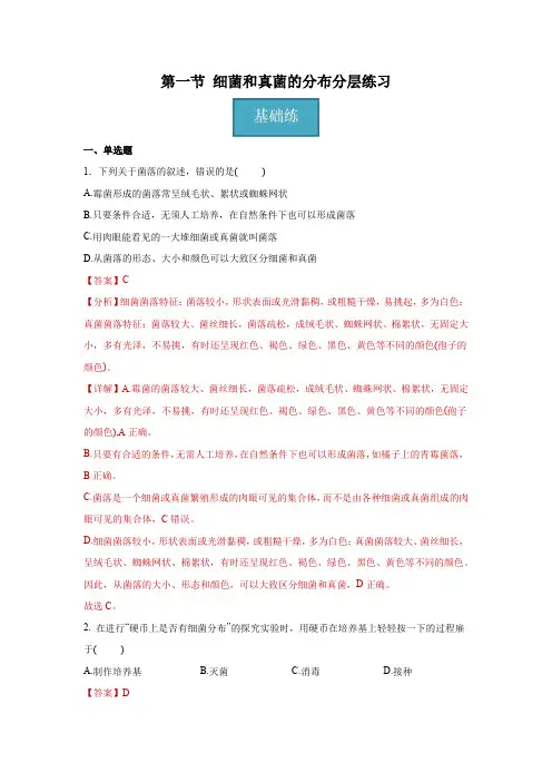 5.4.1 细菌和真菌的分布(分层练习)-2024-2025学年八年级生物上册同步精品课堂(人教版)