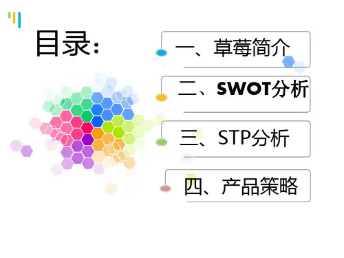 关于草莓的产品策略