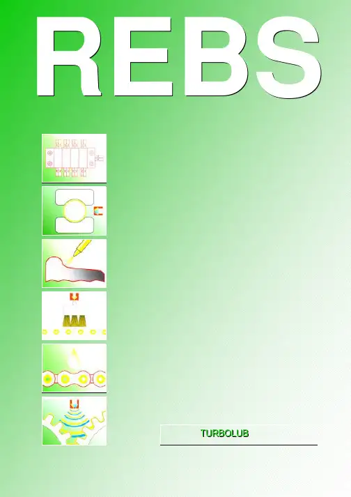 REBS 连铸机TURBOLUB油气润滑技术