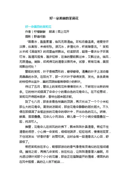 好一朵美丽的茉莉花