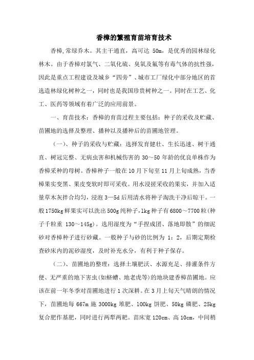 香樟的繁殖育苗培育技术