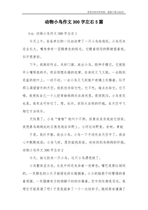 动物小鸟作文300字左右5篇