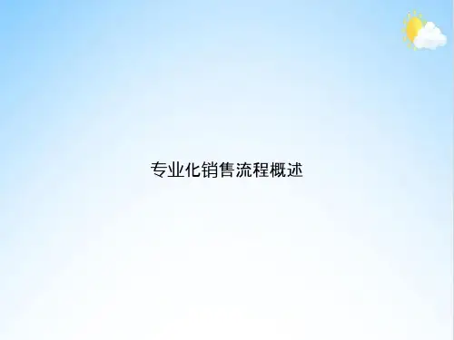 专业化销售流程概述