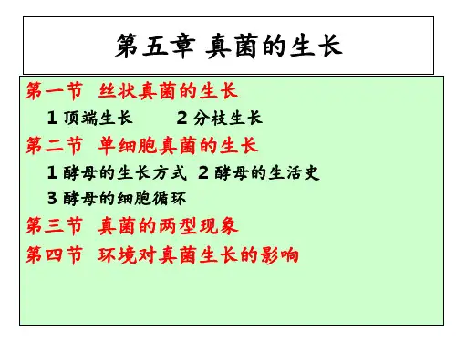 第五章真菌的生长普通真菌学ppt课件