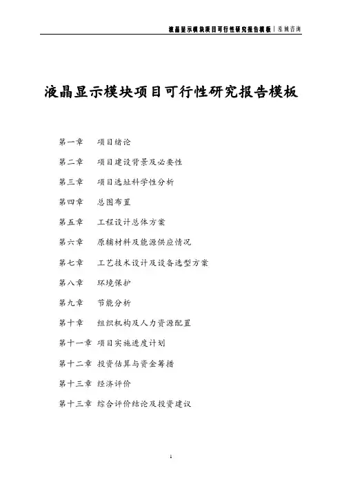 液晶显示模块项目可行性研究报告模板