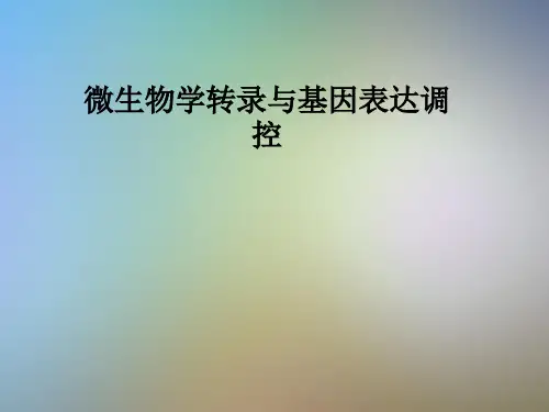 微生物学转录与基因表达调控