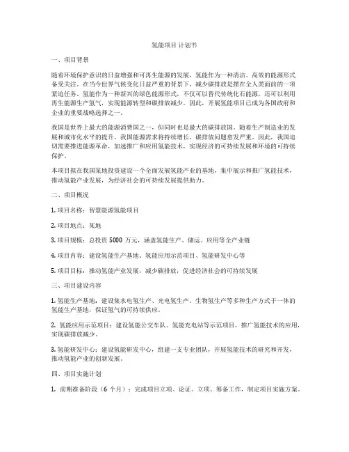 氢能项目 计划书